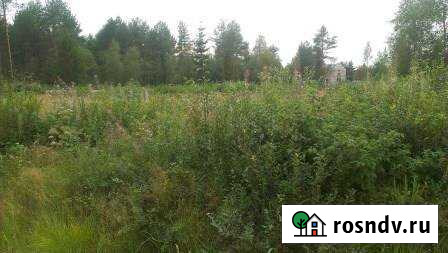 Участок СНТ, ДНП 10 сот. на продажу в Тосно Тосно - изображение 1