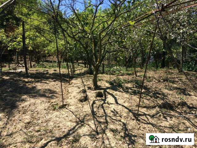 Участок ИЖС 10 сот. на продажу в Высоком Высокое - изображение 1