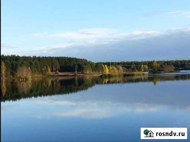 Участок ИЖС 53 сот. на продажу в Мурыгино Мурыгино - изображение 1