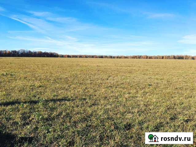 Участок СНТ, ДНП 610 сот. на продажу в Новогуровском Новогуровский - изображение 1