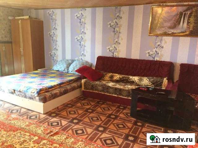 1-комнатная квартира, 40 м², 1/2 эт. в аренду посуточно в Котово Котово - изображение 1