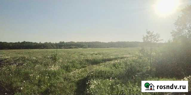 Участок СНТ, ДНП 7 сот. на продажу во Всеволожске Всеволожск - изображение 1