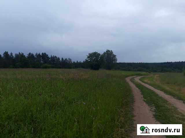 Участок СНТ, ДНП 9 сот. на продажу в Первомайском Ленинградской области Первомайское - изображение 1