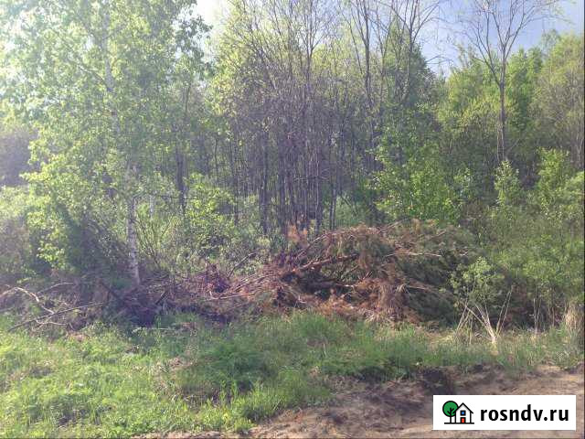 Участок СНТ, ДНП 15 сот. на продажу в Орехово-Зуево Орехово-Зуево - изображение 1