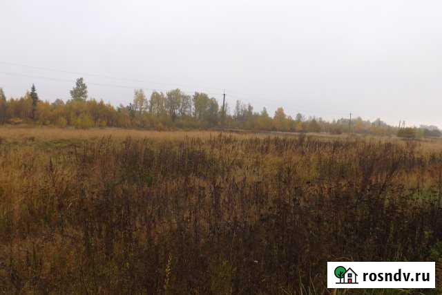 Участок СНТ, ДНП 83 сот. на продажу в Гусино Гусино - изображение 1