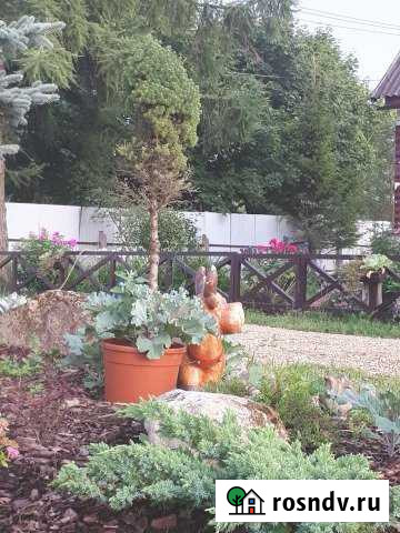 Дом 70 м² на участке 36 сот. на продажу в Волосово Волосово - изображение 1