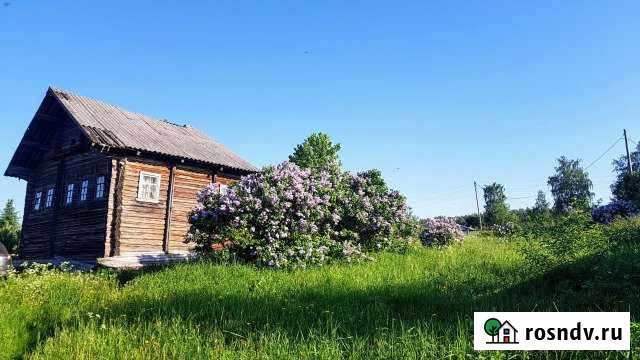 Дом 48 м² на участке 15 сот. в аренду на длительный срок в Пряже Пряжа - изображение 1