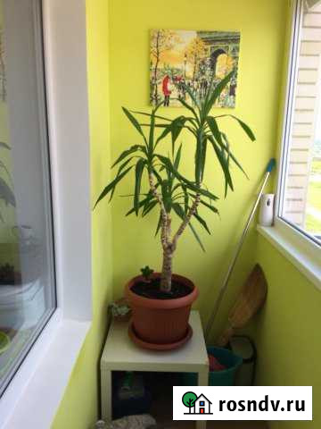 4-комнатная квартира, 87 м², 4/5 эт. на продажу в Воткинске Воткинск - изображение 1