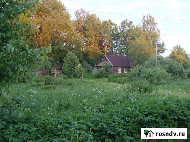 Дом 44 м² на участке 15 сот. на продажу в Бежаницах Бежаницы - изображение 1