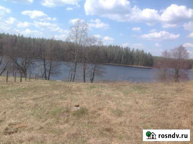 Участок ИЖС 25 сот. на продажу в Андреаполе Андреаполь - изображение 1