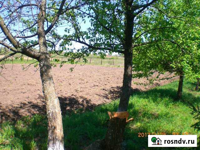 Участок ИЖС 25 сот. на продажу в Маршале Жуковой Маршала Жукова - изображение 1