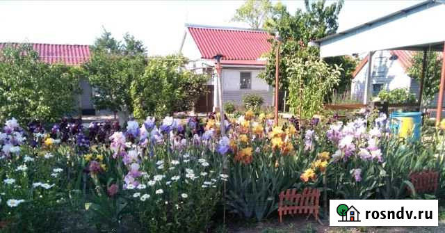 Дом 150 м² на участке 25 сот. на продажу в Приморско-Ахтарске Приморско-Ахтарск - изображение 1