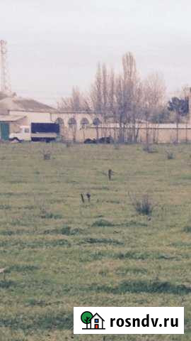 Участок СНТ, ДНП 25 сот. на продажу в Дербенте Дербент - изображение 1