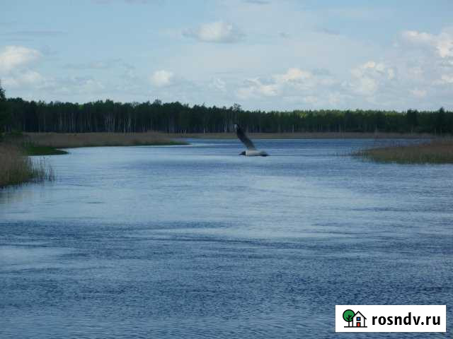 Дача 24 м² на участке 15 сот. в аренду посуточно в Осташкове Осташков - изображение 1