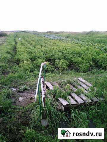 Участок ИЖС 25 сот. на продажу в Добруне Добрунь - изображение 1