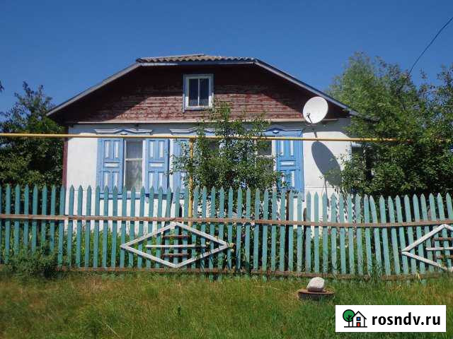 Дом 60 м² на участке 60 сот. на продажу в Каменке Воронежской области Каменка - изображение 1