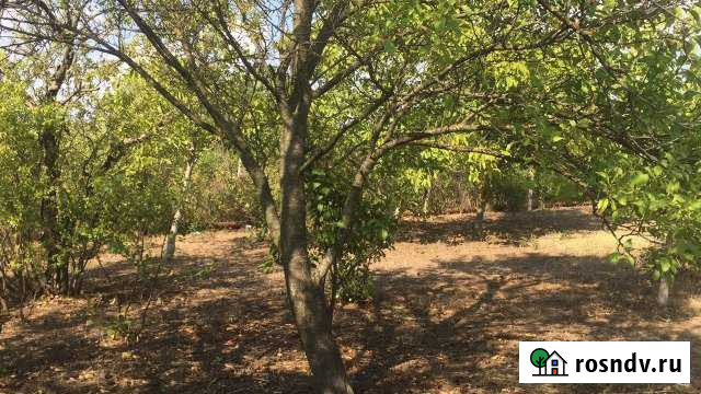 Участок СНТ, ДНП 10 сот. на продажу в Саках Саки - изображение 1