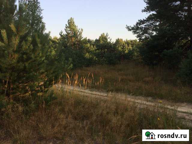 Участок ИЖС 12 сот. на продажу в Авсюнино Авсюнино - изображение 1