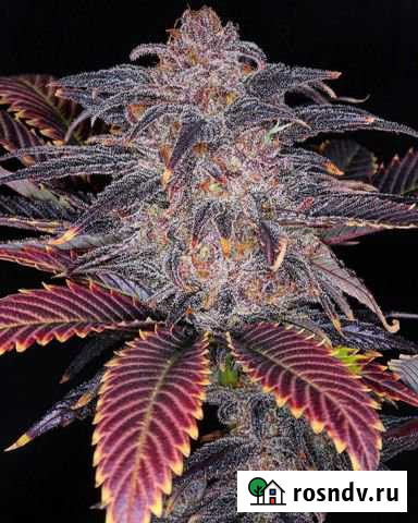 Дорога Москва - изображение 1