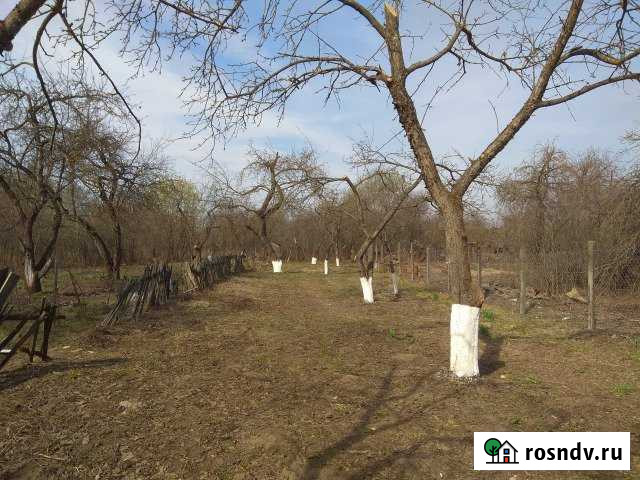 Участок СНТ, ДНП 4 сот. на продажу в Щекино Щекино - изображение 1