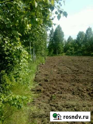 Участок СНТ, ДНП 7 сот. на продажу в Новолуговом Новолуговое - изображение 1