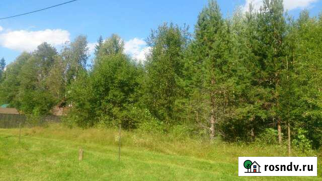 Участок СНТ, ДНП 20 сот. на продажу в Юрье Юрья - изображение 1