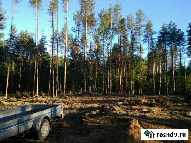 Участок ИЖС 12 сот. на продажу в Токсово Токсово - изображение 1