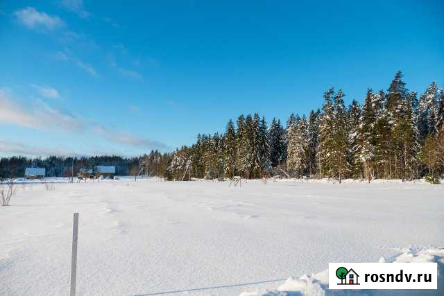 Участок СНТ, ДНП 10 сот. на продажу в Сосново Сосново - изображение 1