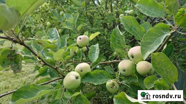 Дача 124 м² на участке 12.4 сот. на продажу в Звенигороде Звенигород - изображение 1