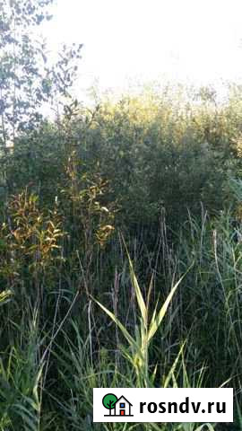 Участок СНТ, ДНП 12 сот. на продажу в Воровского Воровского - изображение 1