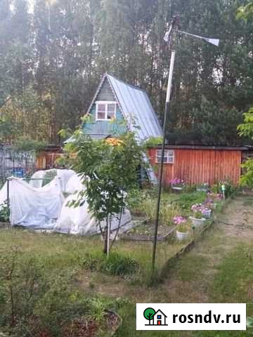 Дача 25 м² на участке 10 сот. на продажу в Мулино Мулино - изображение 1