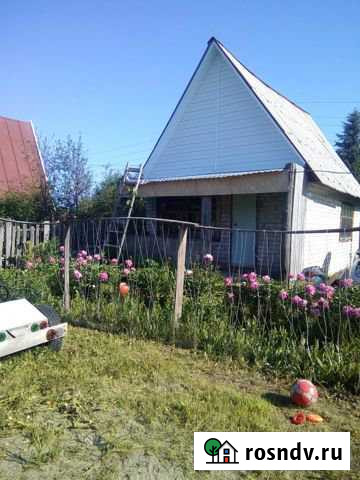 Дача 25 м² на участке 6 сот. на продажу в Лебяжьем Алтайского края Лебяжье - изображение 1