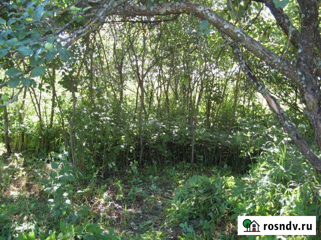 Участок СНТ, ДНП 8 сот. на продажу в Приозерске Приозерск - изображение 1