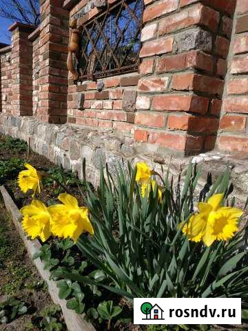 Дом 40 м² на участке 2 сот. в аренду посуточно в Зеленоградске Зеленоградск - изображение 1