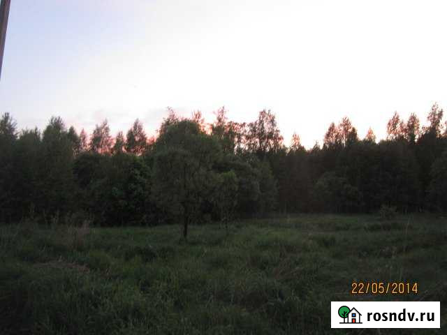 Участок ИЖС 100 сот. на продажу в Спас-Клепиках Спас-Клепики - изображение 1