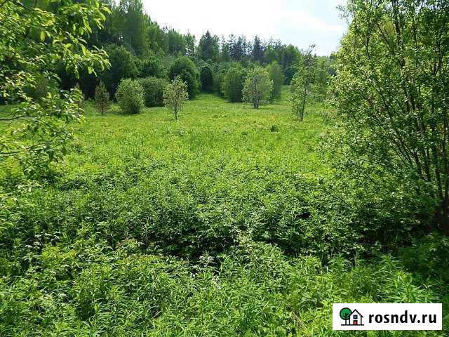 Участок ИЖС 19 сот. на продажу в Сортавале Сортавала - изображение 1