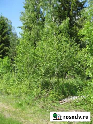 Участок СНТ, ДНП 10 сот. на продажу в Сосново Сосново - изображение 1