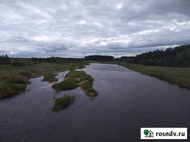 Участок СНТ, ДНП 170 сот. на продажу в Рамешках Рамешки - изображение 1