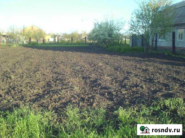 Участок СНТ, ДНП 6 сот. на продажу в Коркино Коркино - изображение 1