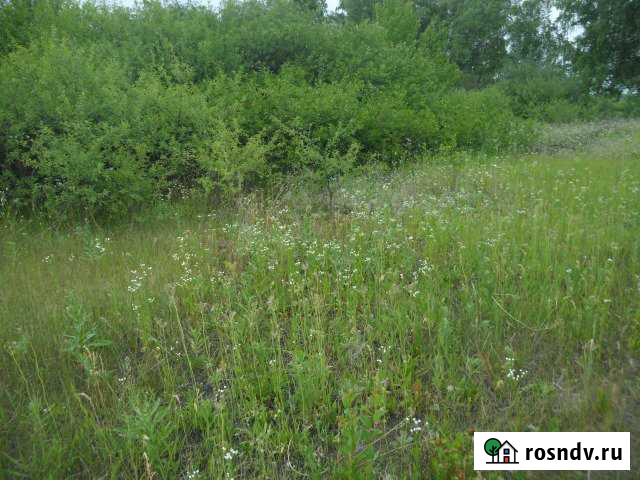 Участок СНТ, ДНП 7 сот. на продажу в Шебекино Шебекино - изображение 1