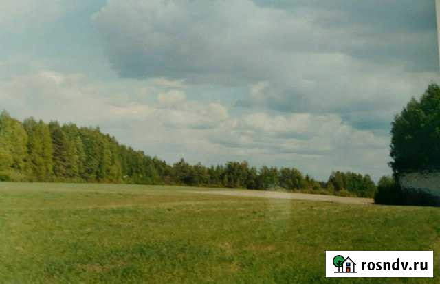 Участок СНТ, ДНП 300 сот. на продажу в Городце Городец - изображение 1