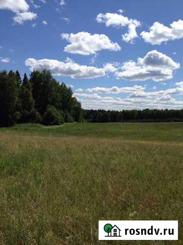 Участок СНТ, ДНП 12600000 сот. на продажу в Верещагино Верещагино - изображение 1