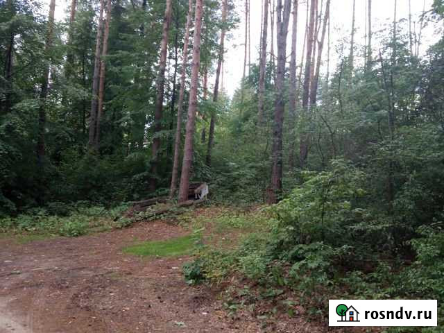 Участок СНТ, ДНП 10 сот. на продажу в Мурмино Мурмино - изображение 1