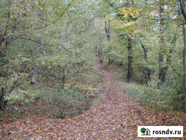 Участок ИЖС 45 сот. на продажу в Ореанде Ореанда - изображение 1