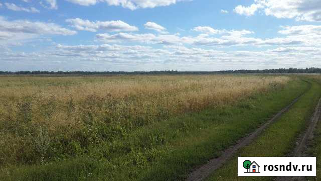 Участок СНТ, ДНП 5600 сот. на продажу в Ордынском Ордынское - изображение 1