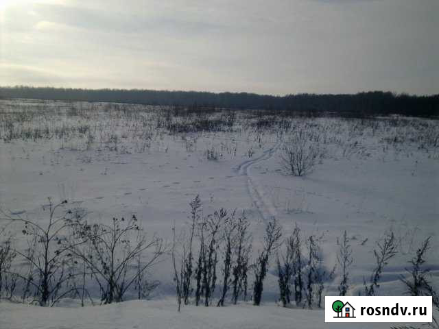 Участок СНТ, ДНП 550 сот. на продажу в Гагарине Гагарин - изображение 1