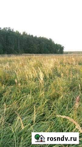 Участок СНТ, ДНП 8 сот. на продажу в Мещерино Мещерино - изображение 1