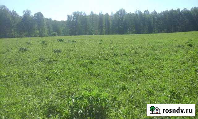 Участок СНТ, ДНП 4000 сот. на продажу в Маслянино Маслянино - изображение 1