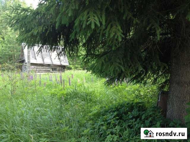 Участок СНТ, ДНП 7 сот. на продажу в Волхове Волхов - изображение 1