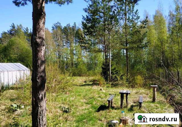 Участок ИЖС 12 сот. на продажу в Приморске Ленинградской области Приморск - изображение 1